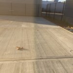 Concrete Flooring Contractors, External Paving, Agricultural Flooring